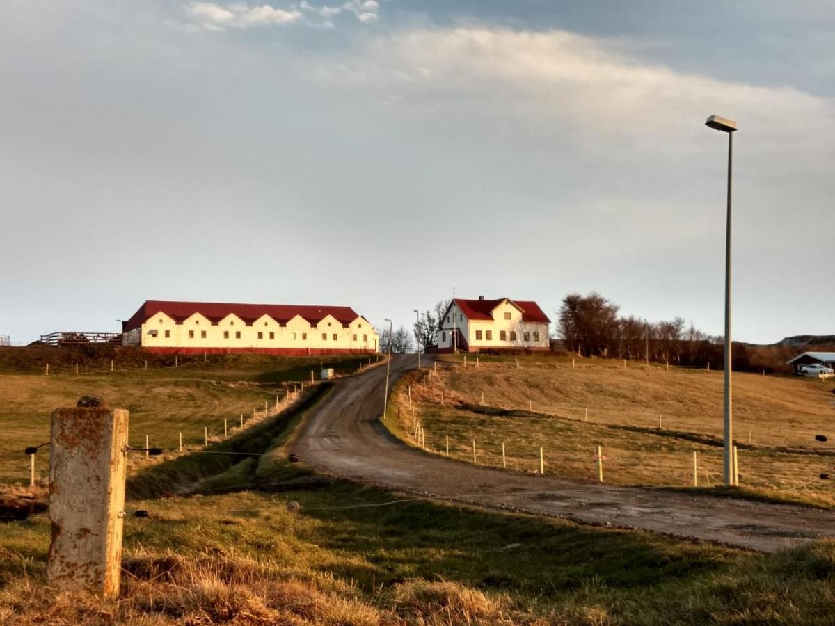 Helluland Guesthouse Saudarkrokur Kültér fotó