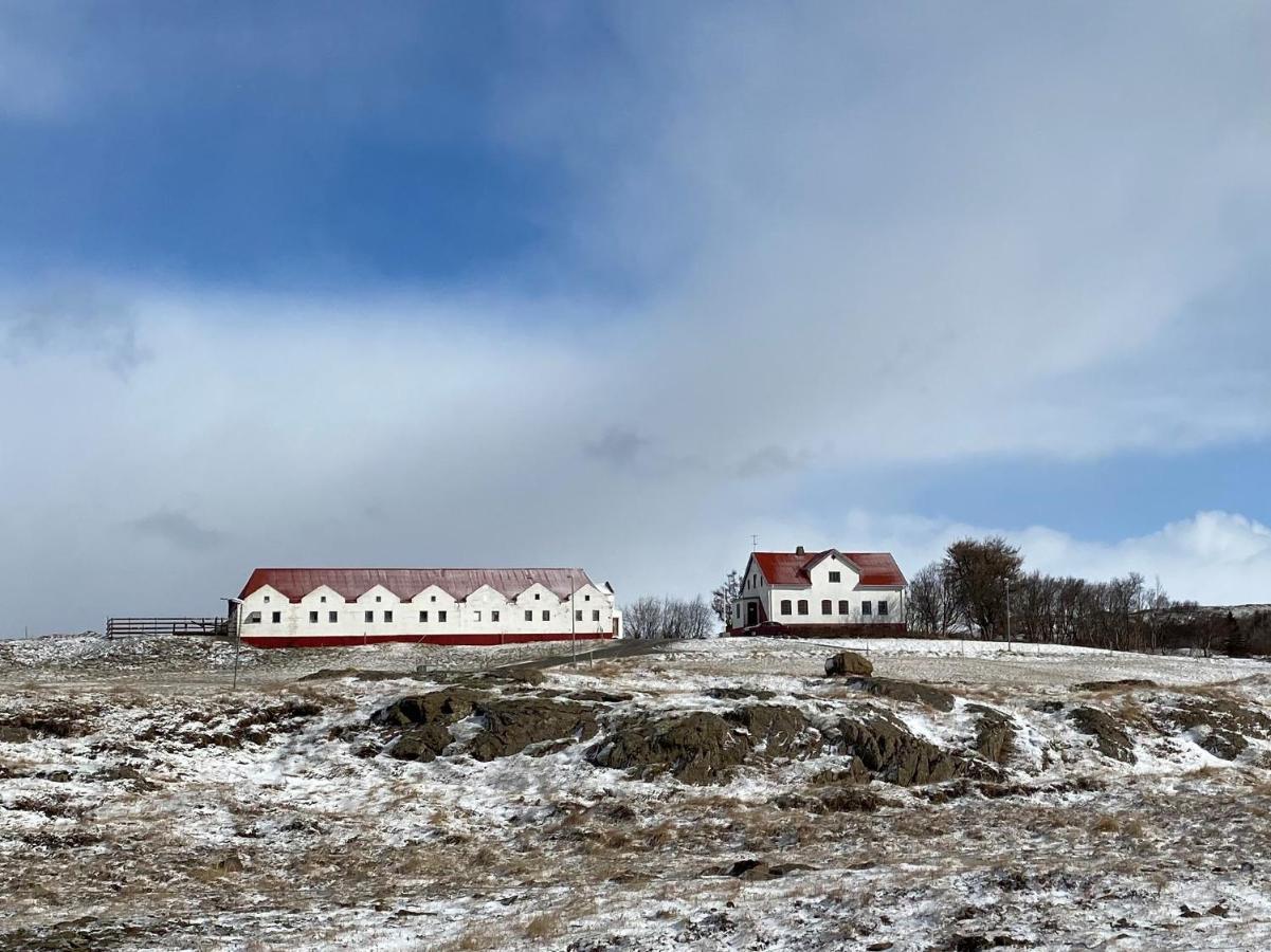 Helluland Guesthouse Saudarkrokur Kültér fotó