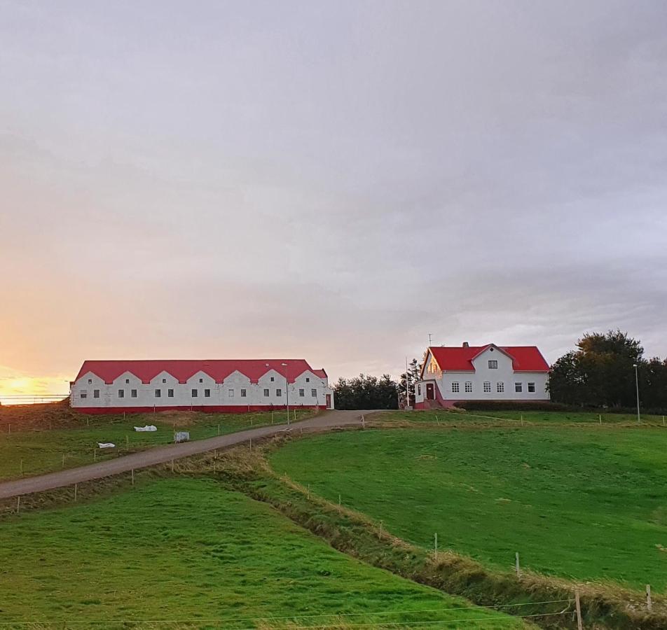 Helluland Guesthouse Saudarkrokur Kültér fotó