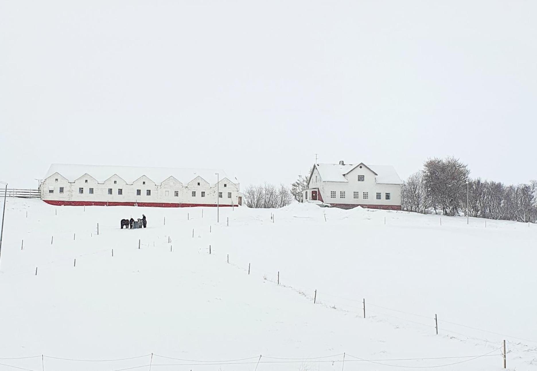 Helluland Guesthouse Saudarkrokur Kültér fotó